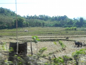 s-20111219 laos (37).jpg